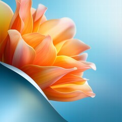 Obraz premium Orange Flower Petals on Teal Background