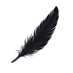 Elegant Black Feather Isolated on White Background for Artistic Use on transparent background