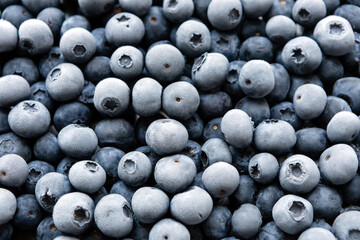Frozen Organic Blueberries