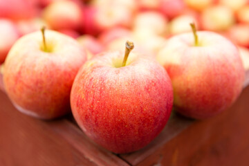 Fresh Ripe Organic Red Gala Apples