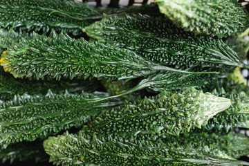 Close-up of fresh Momordica Charantia, also known as bitter melon, for sale at the market.