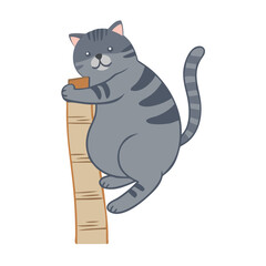 Playful Cat Clipart for Designers and Creators