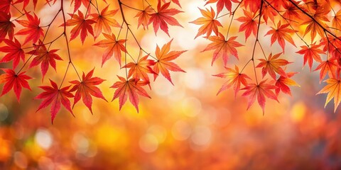 Autumnal Red Maple Leaves Adorning Branches , nature, tree branches