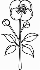 A simple line art drawing of a tea flower. Suitable for tea-related branding, packaging, or educational materials.