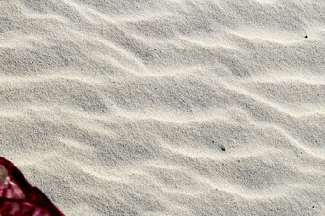 sand texture background