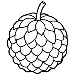 Elegant Custard Apple Vector Line Drawing
