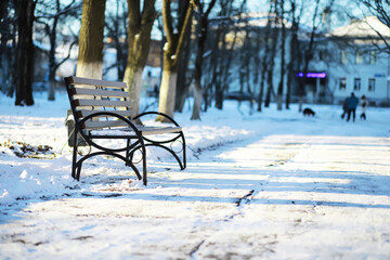 Snowy Winter Park with Benches and Snow-Covered Trees in Tranquil Setting