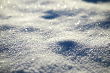 Obraz premium Pristine Winter Snowflakes Sparkling in Sunlight on a Cold Snowy Day