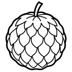 Elegant Sugar Apple Line Art Illustration
