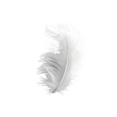 Elegant White Feather for Creative Projects on transparent background