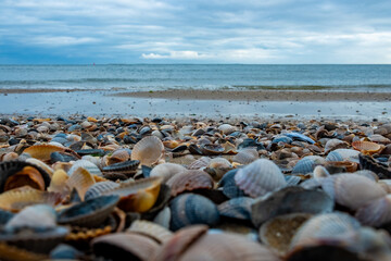 Eierland, De Cocksdorp, Texel, The Netherlands, Oktober 28th, 2024, A picturesque and serene beach...