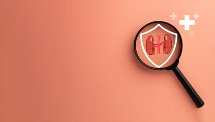 World Kidney Day concept.,Magnifying glass focus on sheild with kidney icon emphasizing Kidney...