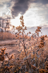 Landscape Bulgarian village