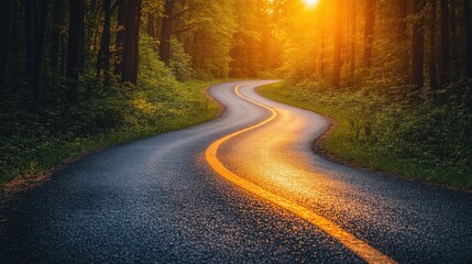 Naklejka premium Winding road through sunlit forest.