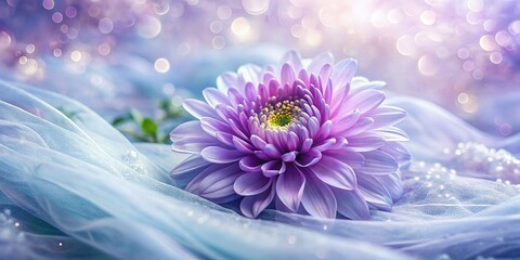 Obraz premium Double Exposure: Delicate Violet Aster Close-Up & Abstract Nature Textures
