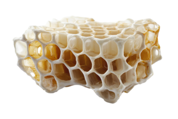 Natural honeycomb structure showcasing beeswax and honey collected from a beehive