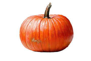 Obraz premium Vibrant orange pumpkin with a thick stem displayed against a neutral background in autumn