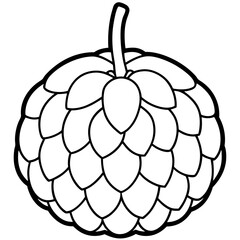 Sugar Apple Handheld Line Art Vector