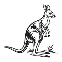 Fototapeta premium realistic 3d cartoon character of kangroo with white background