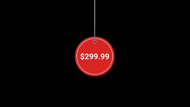 299.99 Dollar Price tag Animated