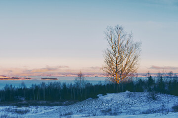 Landscape of rural Toten with Lake Mjøsa and Hovinsholmen Island seen from Balke, Norway, in January 2025.
