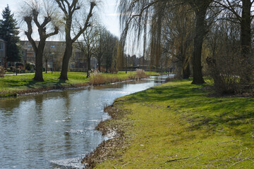 Scenic riverside view in spring with lush greenery and calm waters during midday