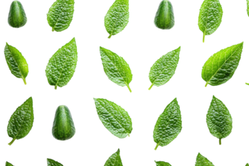 Green leaves and cucumber arranged in a repeating pattern showcasing natural textures and colors