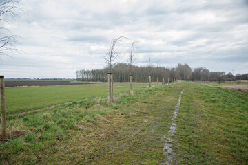 Scenic rural path lined with wooden posts leading to a forested area under a cloudy sky © otterspeer.com Stock