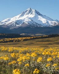 Fototapeta premium A scenic view of a snow-capped mountain surrounded by vibrant yellow flowers in a meadow.