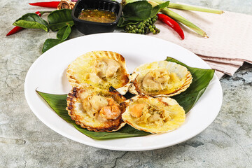 Griiled scallops in shell with cheese