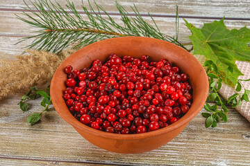 Natural organic wild forwst lingonberry