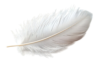 Obraz premium Soft white feather resting on a flat surface under bright light creating a serene atmosphere