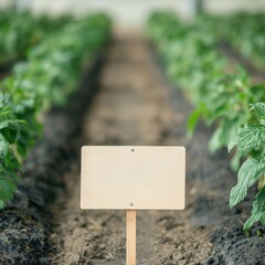 Engagement in community farming concept. Empty plant label in a garden surrounded by green vegetation.
