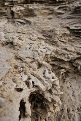 Close-up view of a sandstone rock in the desert. Abstract background. Selective focus.