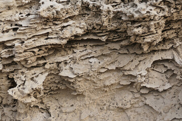Close-up view of a sandstone rock in the desert. Abstract background. Selective focus.