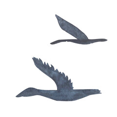 Flying birds, gees set isolated on white. High quality hand-drawn watercolor simple flat illustration for landscapes, scrapbooking, wrapping paper, textile, sea voyage souvenirs decor and design