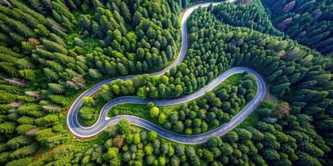 Aerial view of a winding road cutting through a dense forest, aerial, view, road, forest, trees, lush, greenery, above