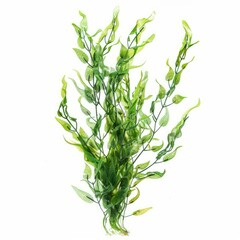 Obraz premium Close up of artificial aquatic plant, creating a serene underwater ambiance