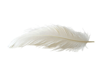 Soft white feather resting on a surface emphasizes delicate texture and natural beauty at midday light © Khadija