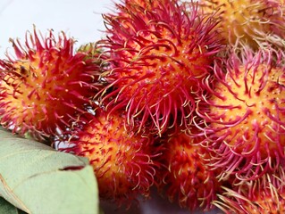 rambutan fruit