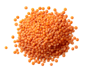 Small red orange lentils isolated on transparency png file