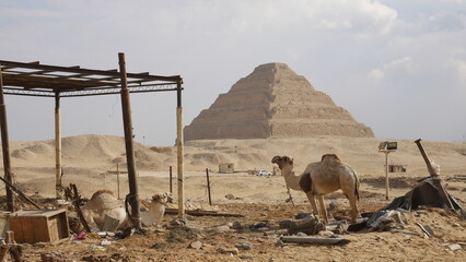 Saqqara, nécropole, Égypte, pyramide à degrés, Djoser, archéologie, site historique, tombeaux,...