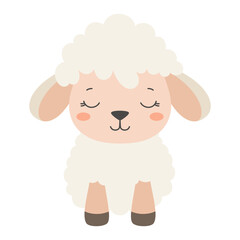 little sheep isolated