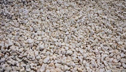 Natural Porous White Coral Rocks for Decorative Landscaping, Gardening, and Aquarium Use, Perfect for Aesthetic Appeal and Drainage