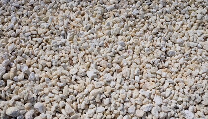 Natural Porous White Coral Rocks for Decorative Landscaping, Gardening, and Aquarium Use, Perfect for Aesthetic Appeal and Drainage