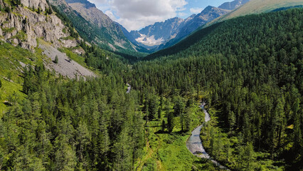 Multa river valley in the Altai mountains in summer