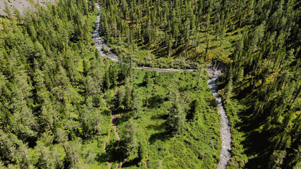 Multa river valley in the Altai mountains in summer