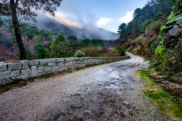 Stone fence at the road, conifers and fog in the Graja gorge
