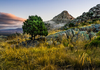 The Cabreras peak, early in the morning