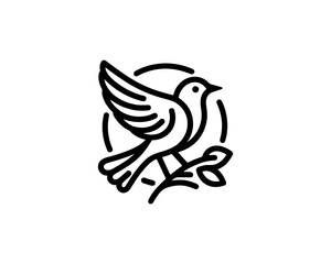 Bird Logo Design Icon Symbol Vector Illustration.